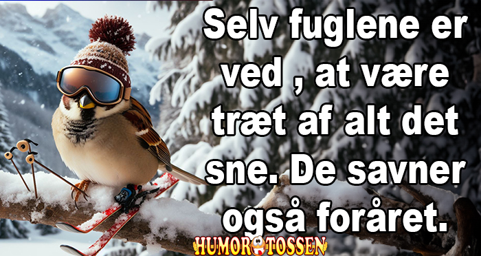 De savner også foråret