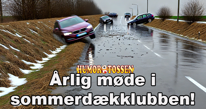Årlig møde i sommerdækklubben